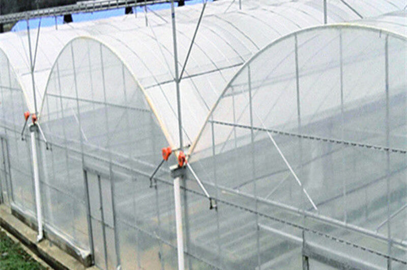 Practical Large Industrial Sized Greenhouse 30-100m Length Stable Structure