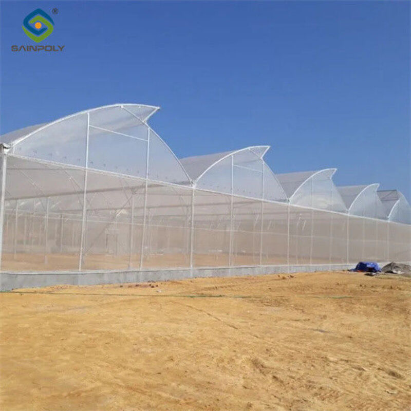 Practical Po Film Gothic Greenhouse Multispan Agriculture Greenhouse