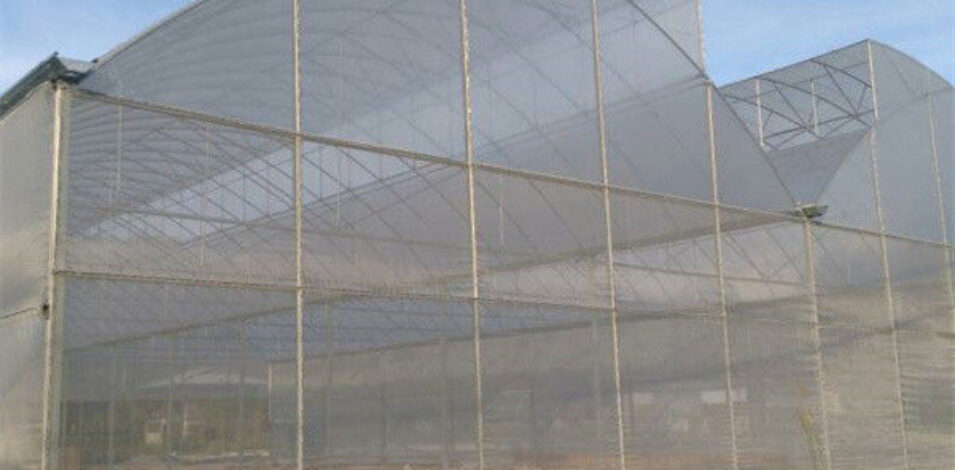 Practical Po Film Gothic Greenhouse Multispan Agriculture Greenhouse