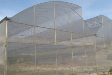 Practical Po Film Gothic Greenhouse Multispan Agriculture Greenhouse