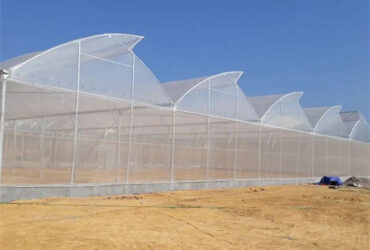 Practical Po Film Gothic Greenhouse Multispan Agriculture Greenhouse
