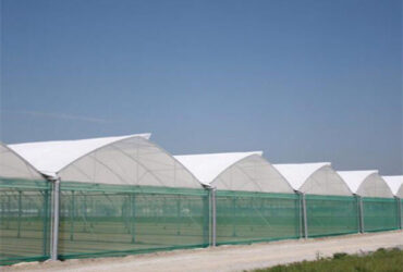 Practical Po Film Gothic Greenhouse Multispan Agriculture Greenhouse