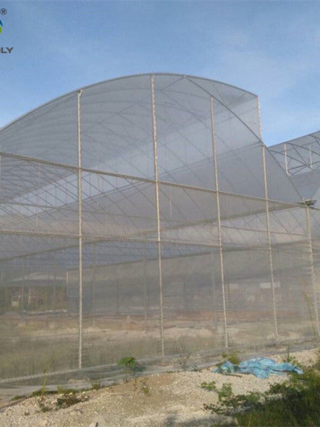 Practical Po Film Gothic Greenhouse Multispan Agriculture Greenhouse
