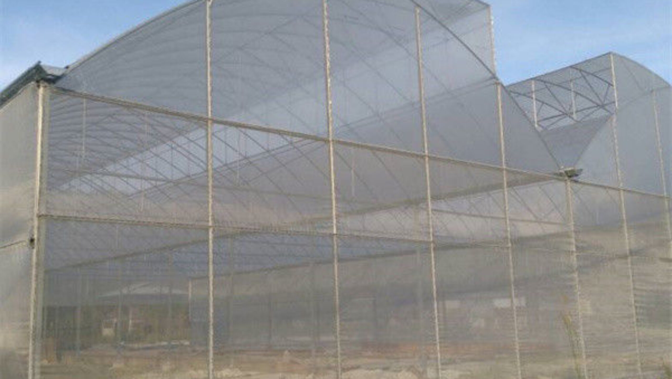 Practical Po Film Gothic Greenhouse Multispan Agriculture Greenhouse