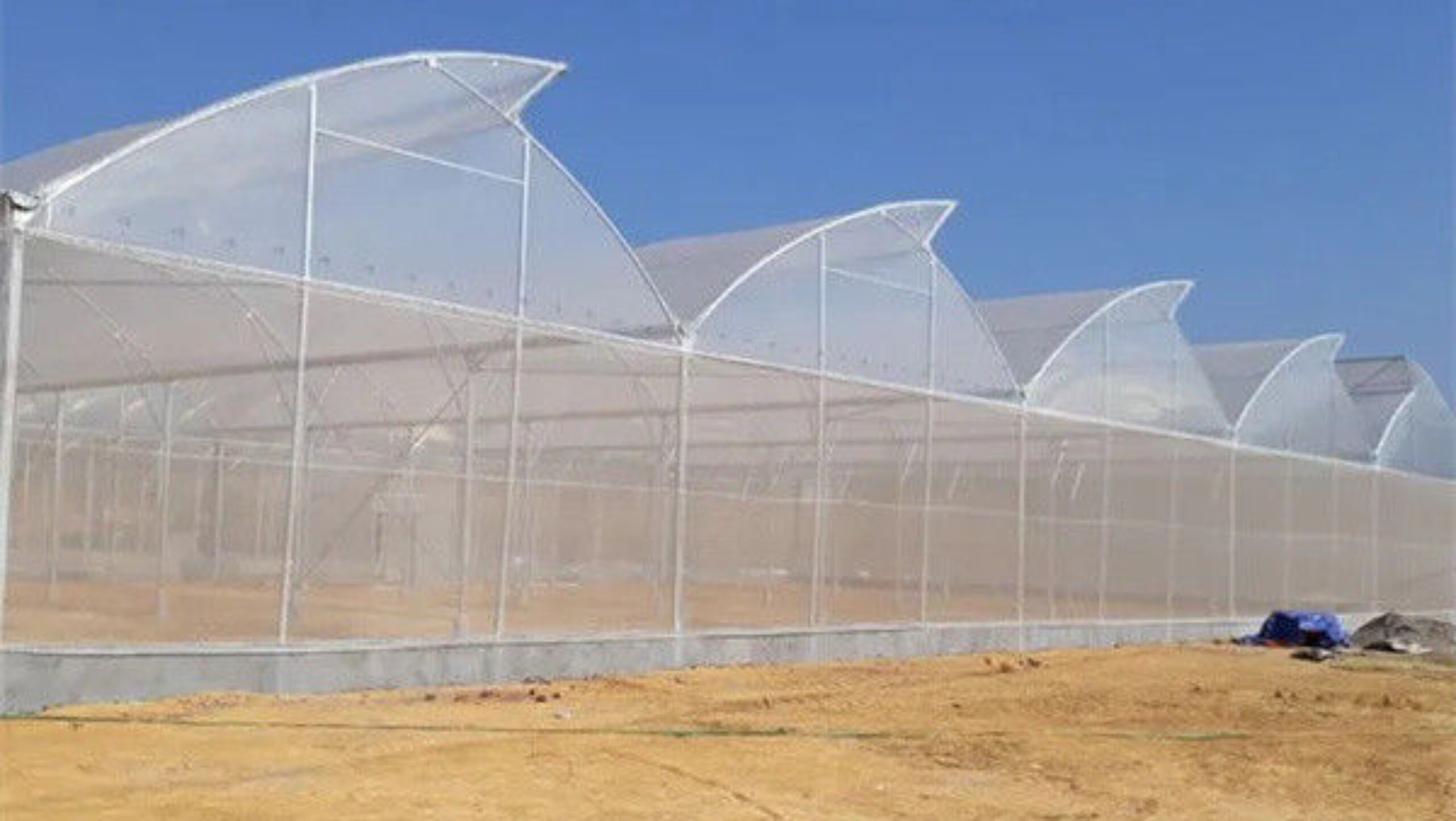 Practical Po Film Gothic Greenhouse Multispan Agriculture Greenhouse
