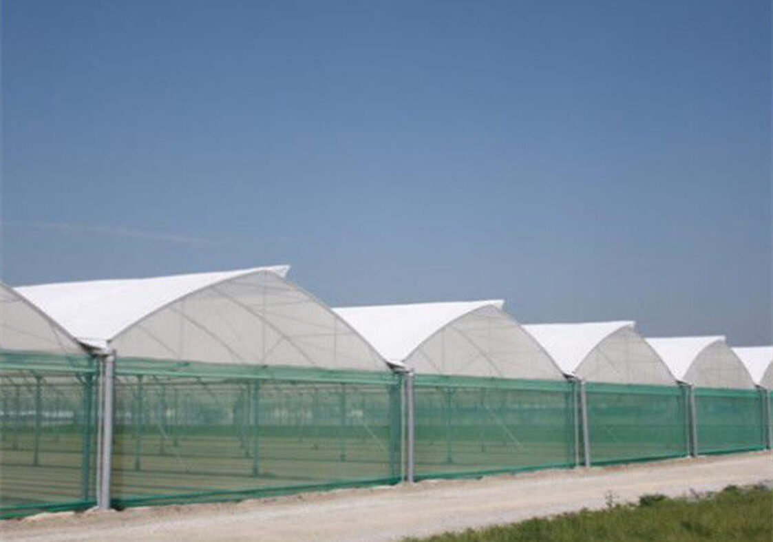 Practical Po Film Gothic Greenhouse Multispan Agriculture Greenhouse