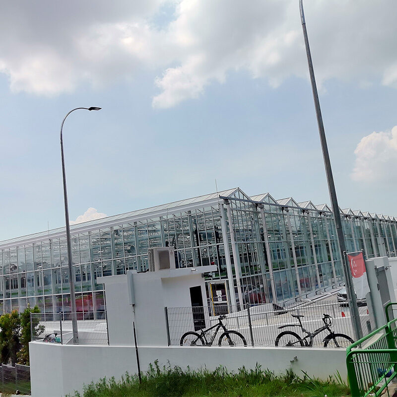 Precision Climate Control Commercial Semi-Closed Greenhouse Supplier & Manufacturer for High-End Flowers