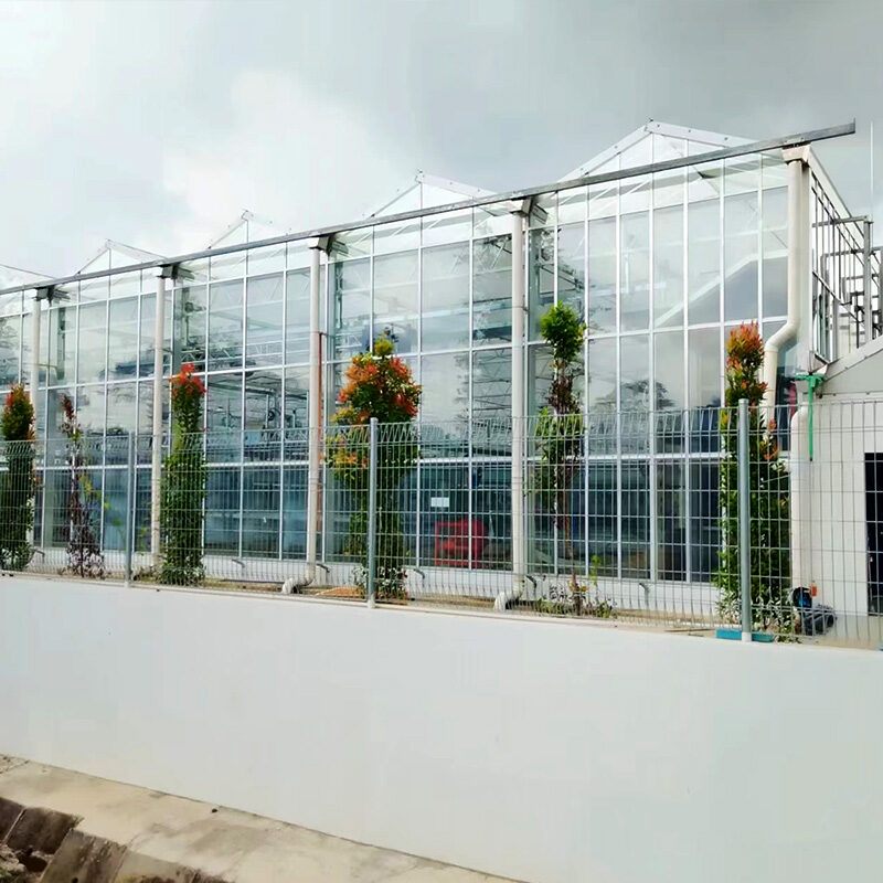 Precision Climate Control Commercial Semi-Closed Greenhouse Supplier & Manufacturer for High-End Flowers
