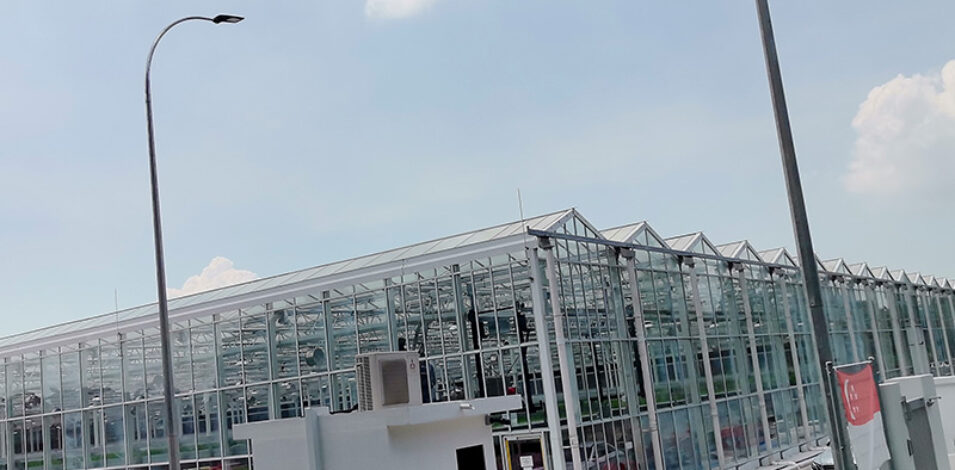 Precision Climate Control Commercial Semi-Closed Greenhouse Supplier & Manufacturer for High-End Flowers