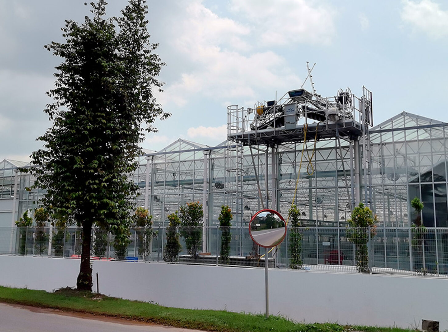 Precision Climate Control Commercial Semi-Closed Greenhouse Supplier & Manufacturer for High-End Flowers