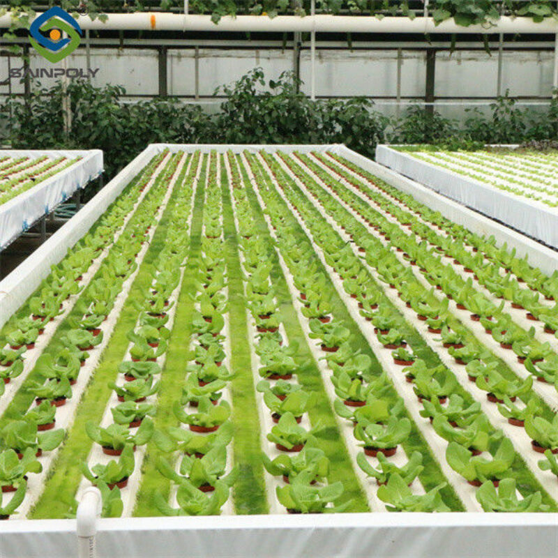 PVC Gutter Soilless Culture Hydroponic Lettuce Greenhouse Anti Corrosion