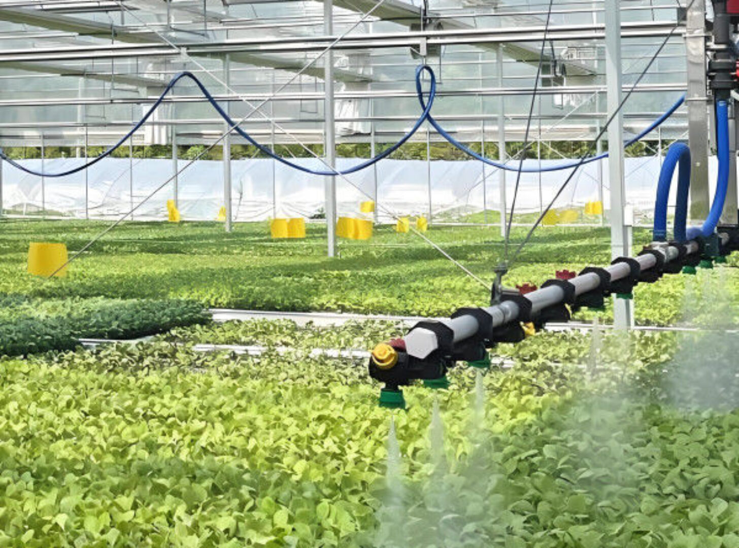 PVC Gutter Soilless Culture Hydroponic Lettuce Greenhouse Anti Corrosion