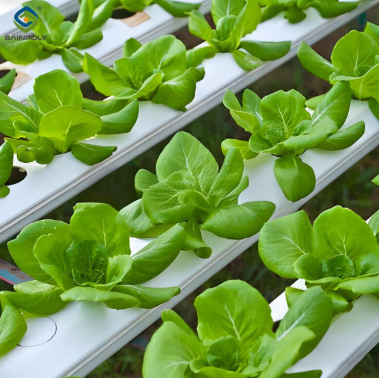 PVC Gutter Soilless Culture Hydroponic Lettuce Greenhouse Anti Corrosion