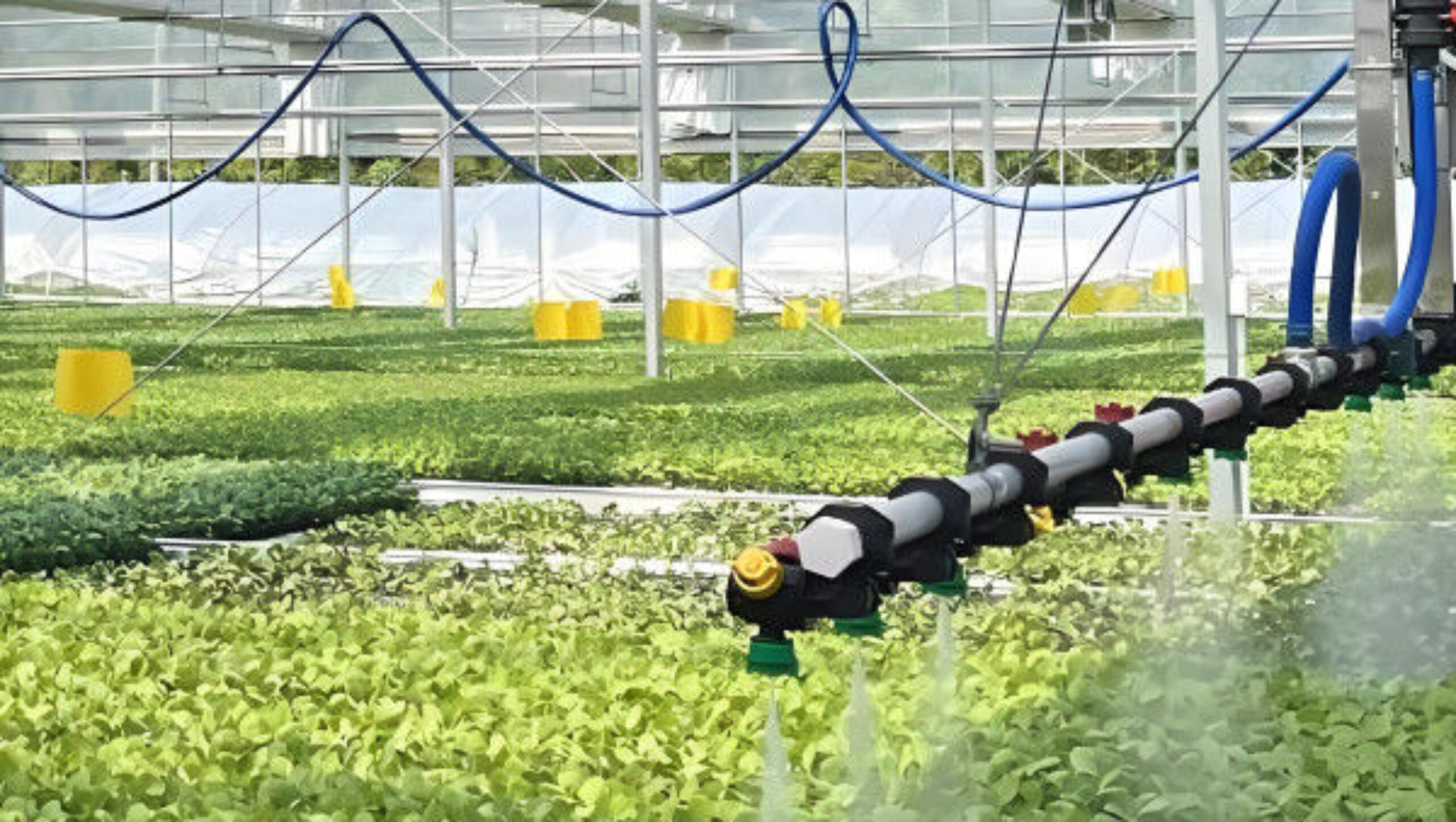 PVC Gutter Soilless Culture Hydroponic Lettuce Greenhouse Anti Corrosion