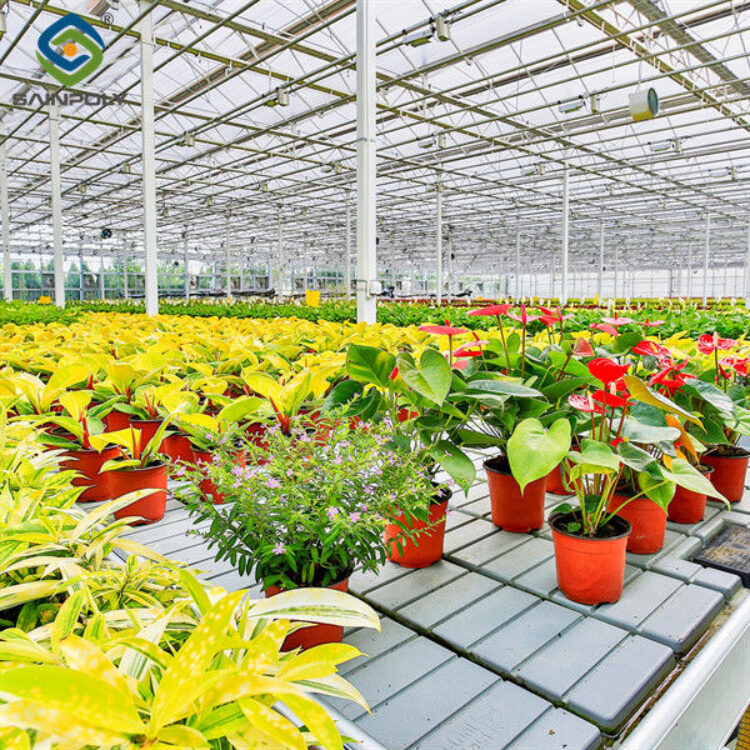 Rectangular Large Commercial Greenhouse Multispan Agricultural Greenhouse