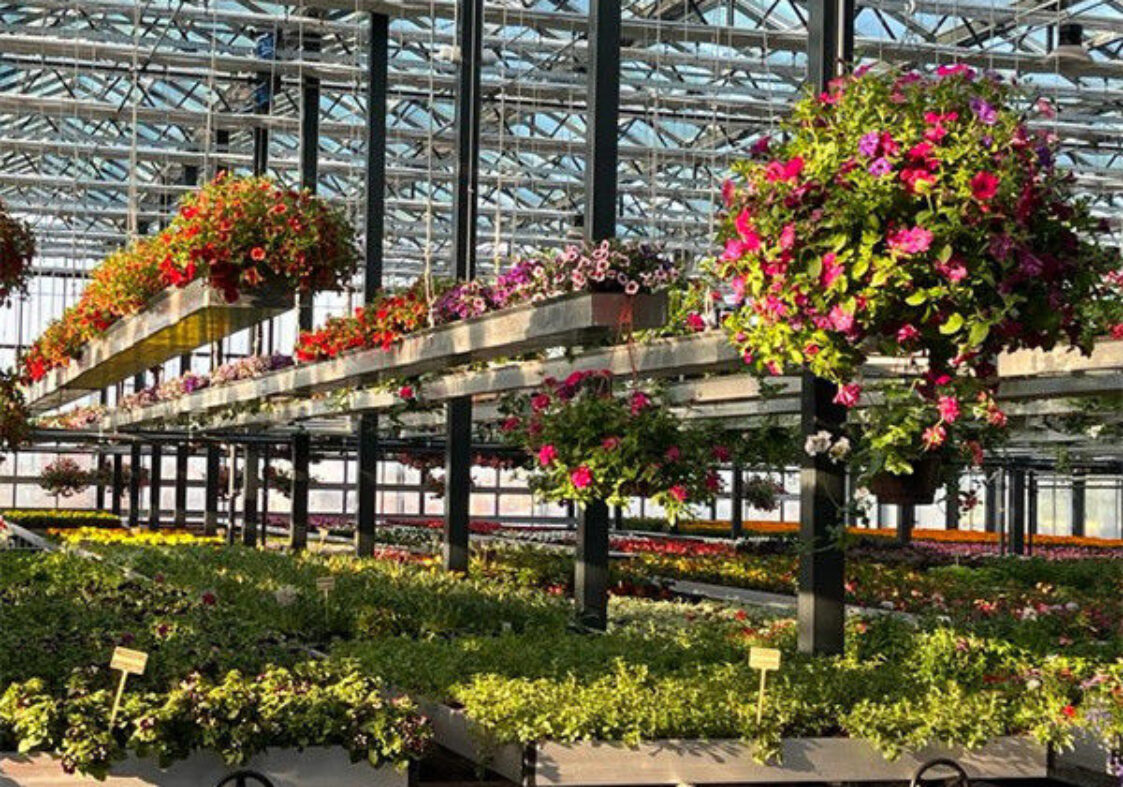 Rectangular Large Commercial Greenhouse Multispan Agricultural Greenhouse