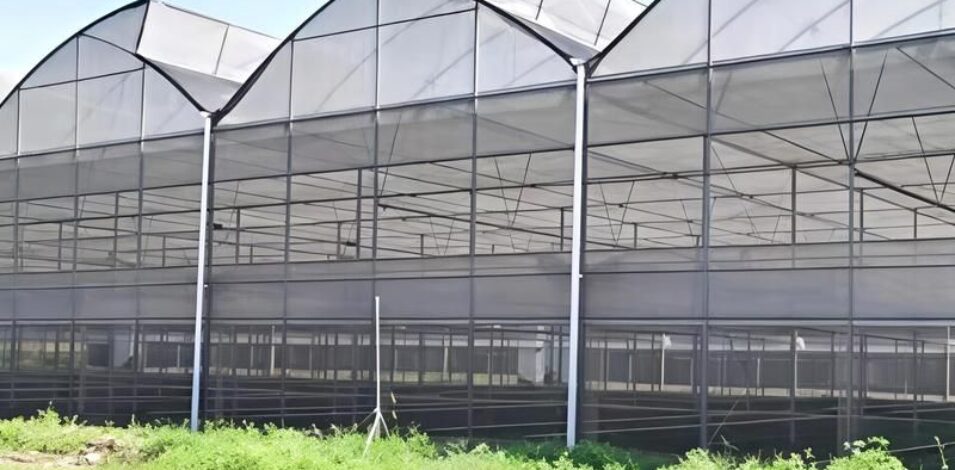 Sawtooth Greenhouse