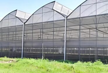 Sawtooth Greenhouse