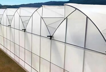 Sawtooth Greenhouse