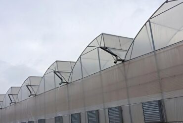 Sawtooth Greenhouse