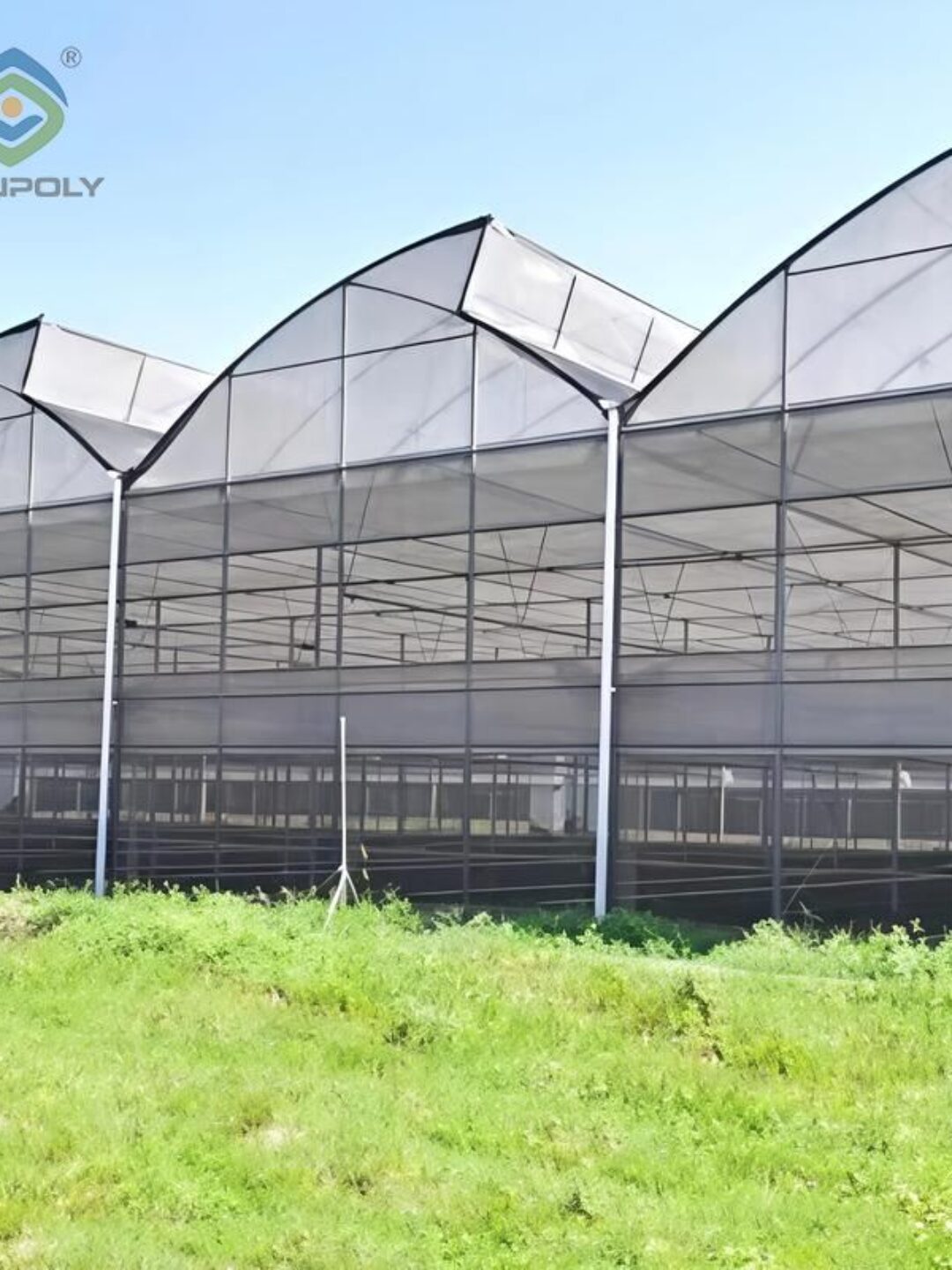 Sawtooth Greenhouse