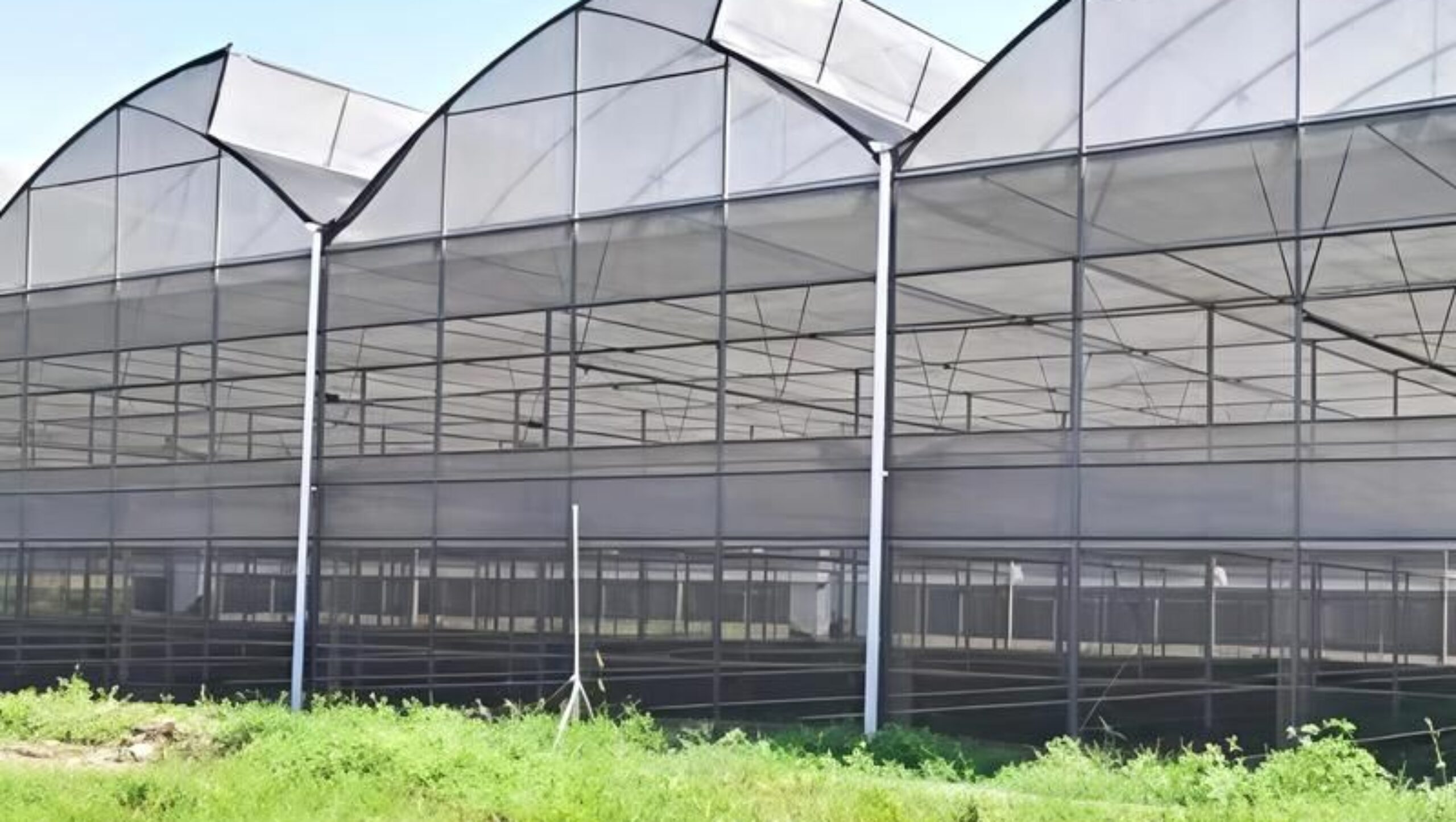 Sawtooth Greenhouse