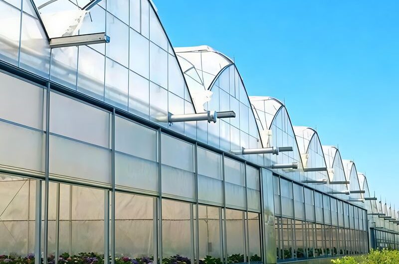Sawtooth Greenhouse