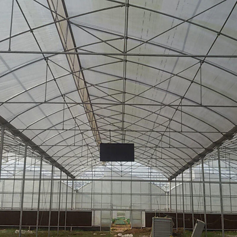 Sawtooth Greenhouse for Agricultural Crop Cultivation