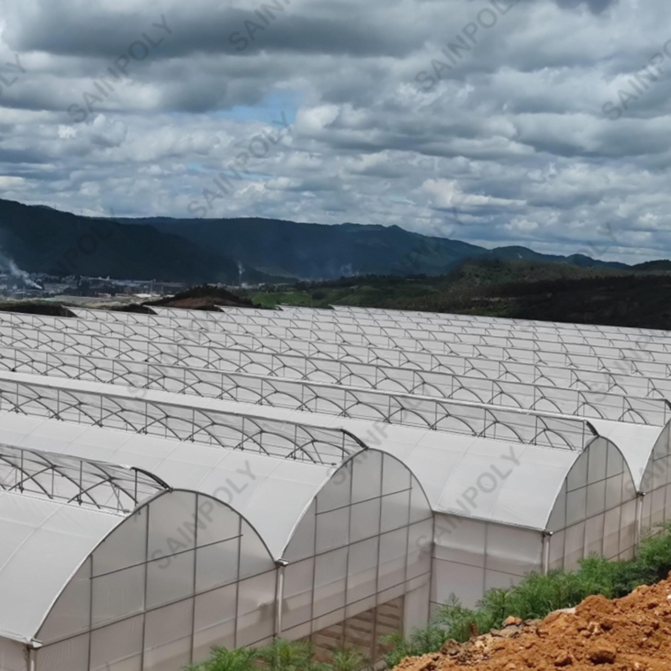 Sawtooth Greenhouse for Agricultural Crop Cultivation