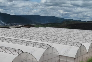 Sawtooth Greenhouse for Agricultural Crop Cultivation