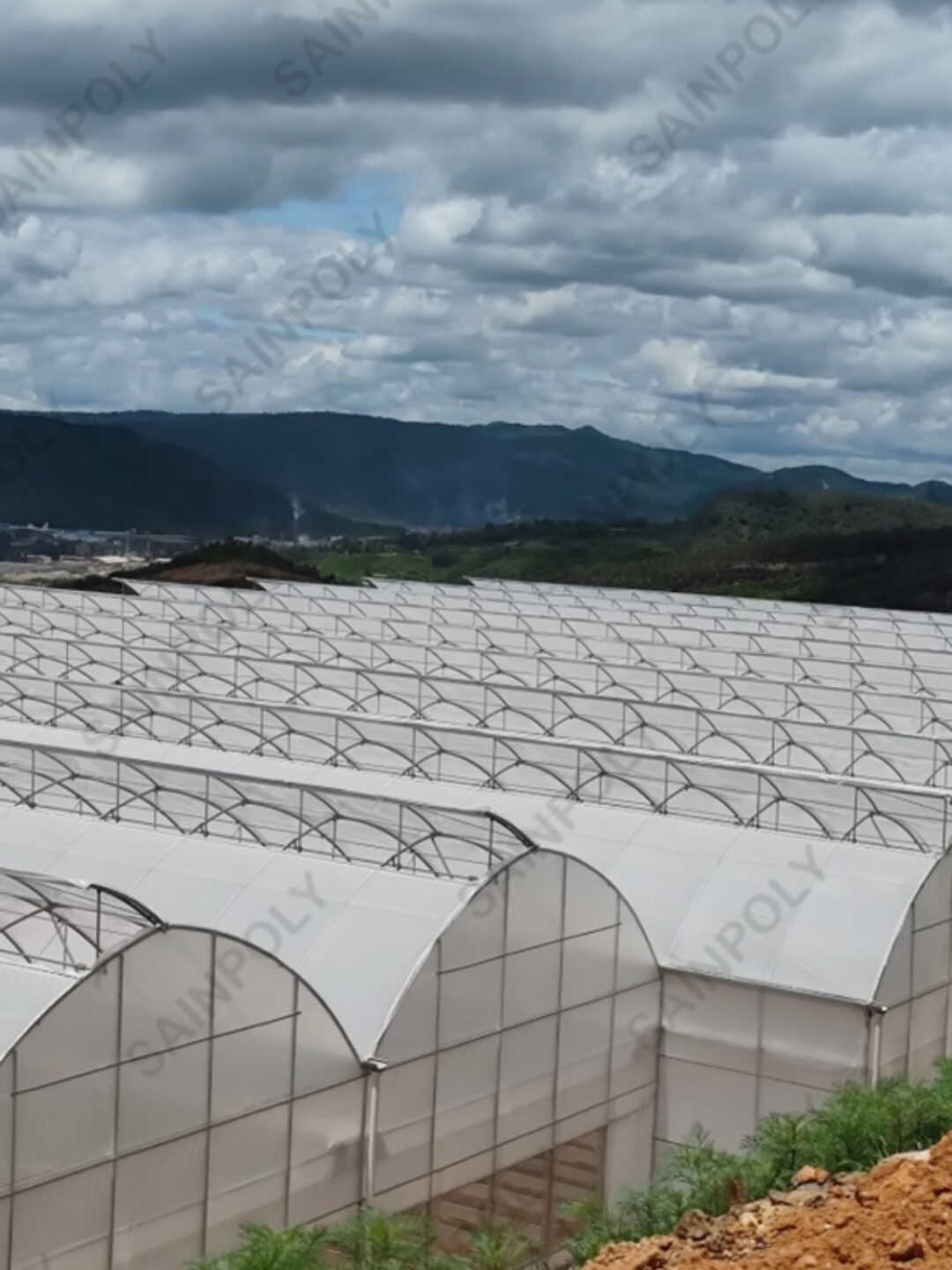 Sawtooth Greenhouse for Agricultural Crop Cultivation