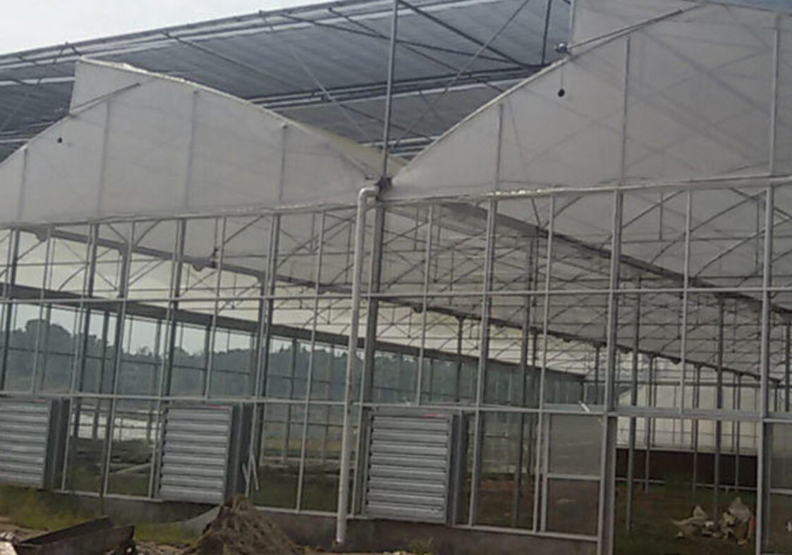 Sawtooth Greenhouse for Agricultural Crop Cultivation