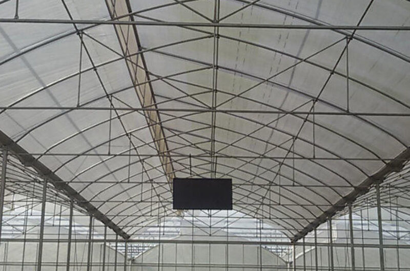 Sawtooth Greenhouse for Agricultural Crop Cultivation
