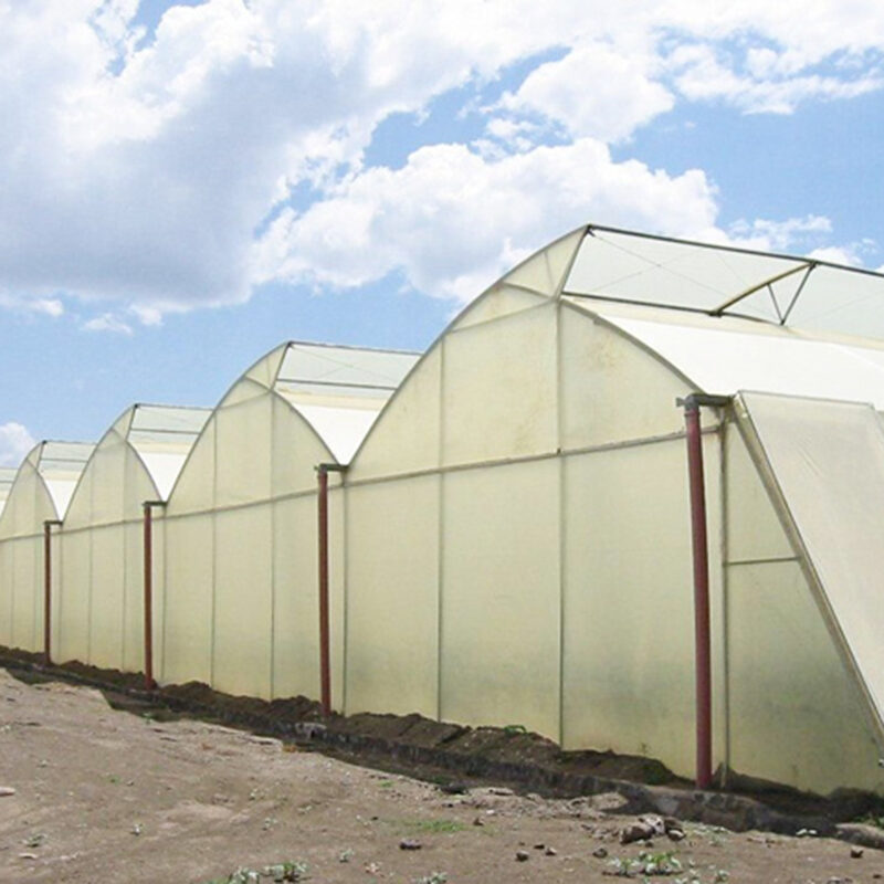 Sawtooth Greenhouse with Automated Climate and Fertigation