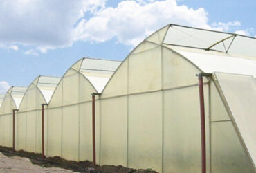 Sawtooth Greenhouse with Automated Climate and Fertigation