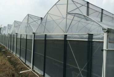 Sawtooth Greenhouse with Automated Climate and Fertigation
