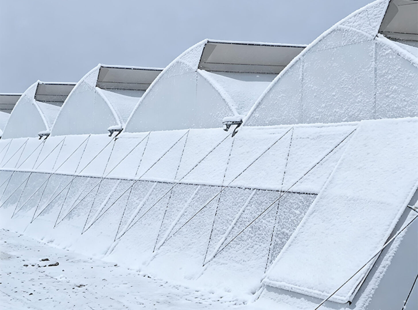 Sawtooth Greenhouse with Automated Climate and Fertigation