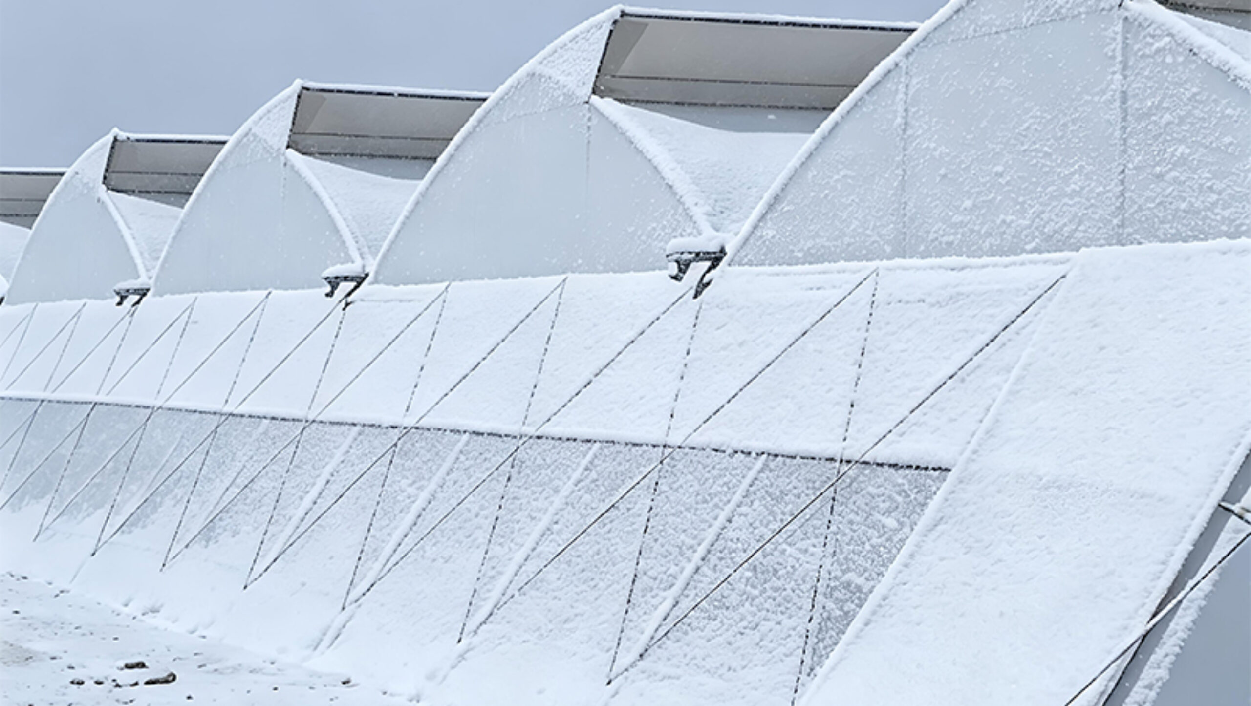 Sawtooth Greenhouse with Automated Climate and Fertigation