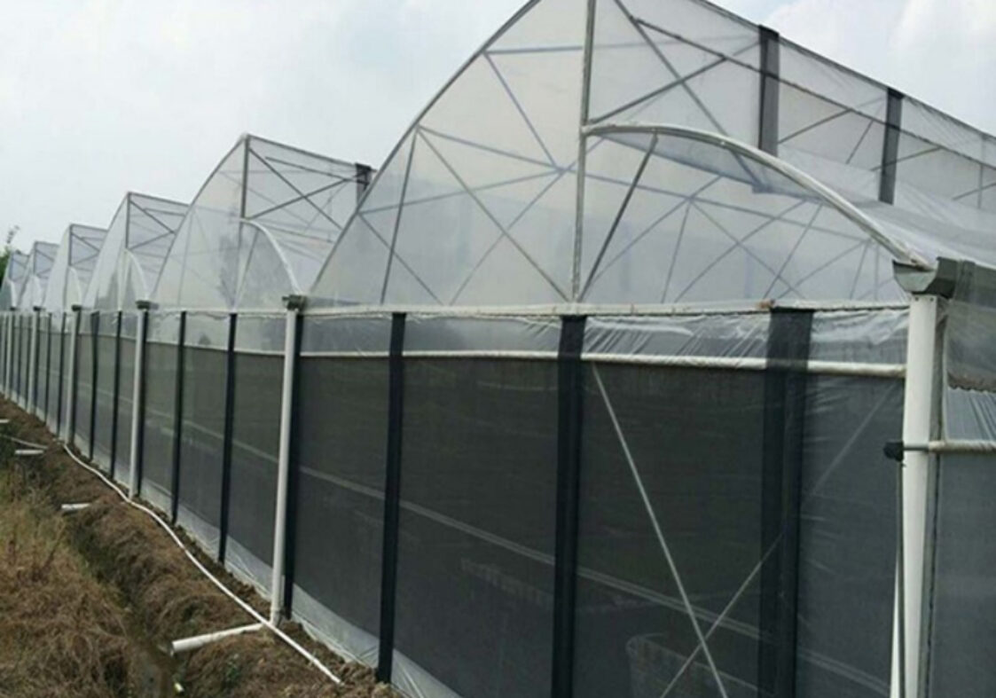 Sawtooth Greenhouse with Automated Climate and Fertigation