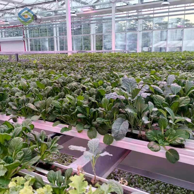 Semi-Closed Greenhouse