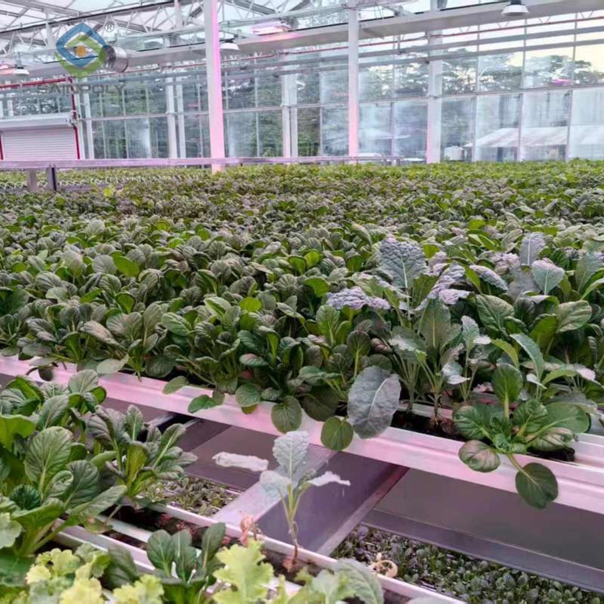 Semi-Closed Greenhouse