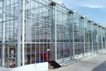 Semi-Closed Greenhouse