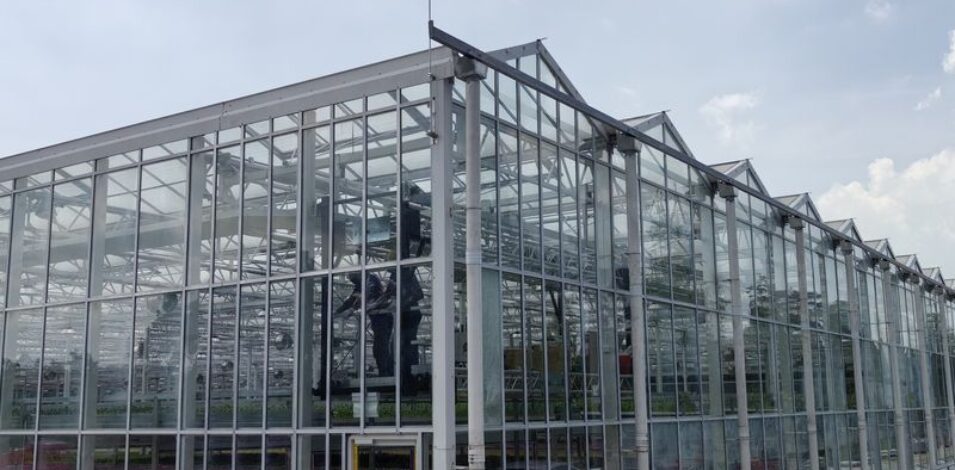 Semi-Closed Greenhouse EG-D-D8ED46