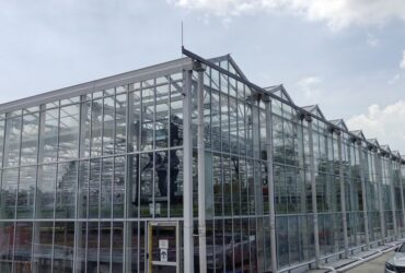 Semi-Closed Greenhouse EG-D-D8ED46
