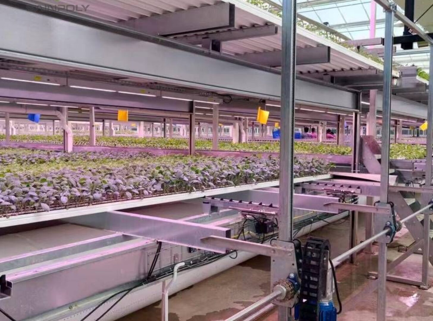 Semi-Closed Greenhouse EG-D-D8ED46