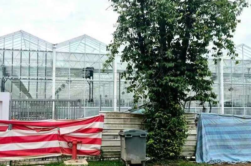 Semi-Closed Greenhouse EG-D-D8ED46