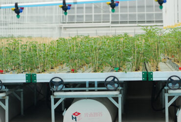 Semi-closed greenhouse for agricultural product cultivation
