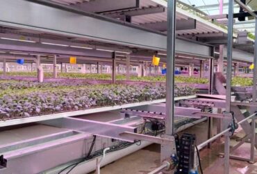 Semi-Closed Greenhouse Intelligent Cultivation System