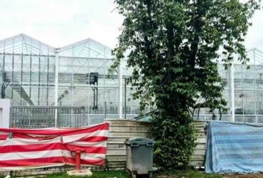 Semi-Closed Greenhouse Intelligent Cultivation System