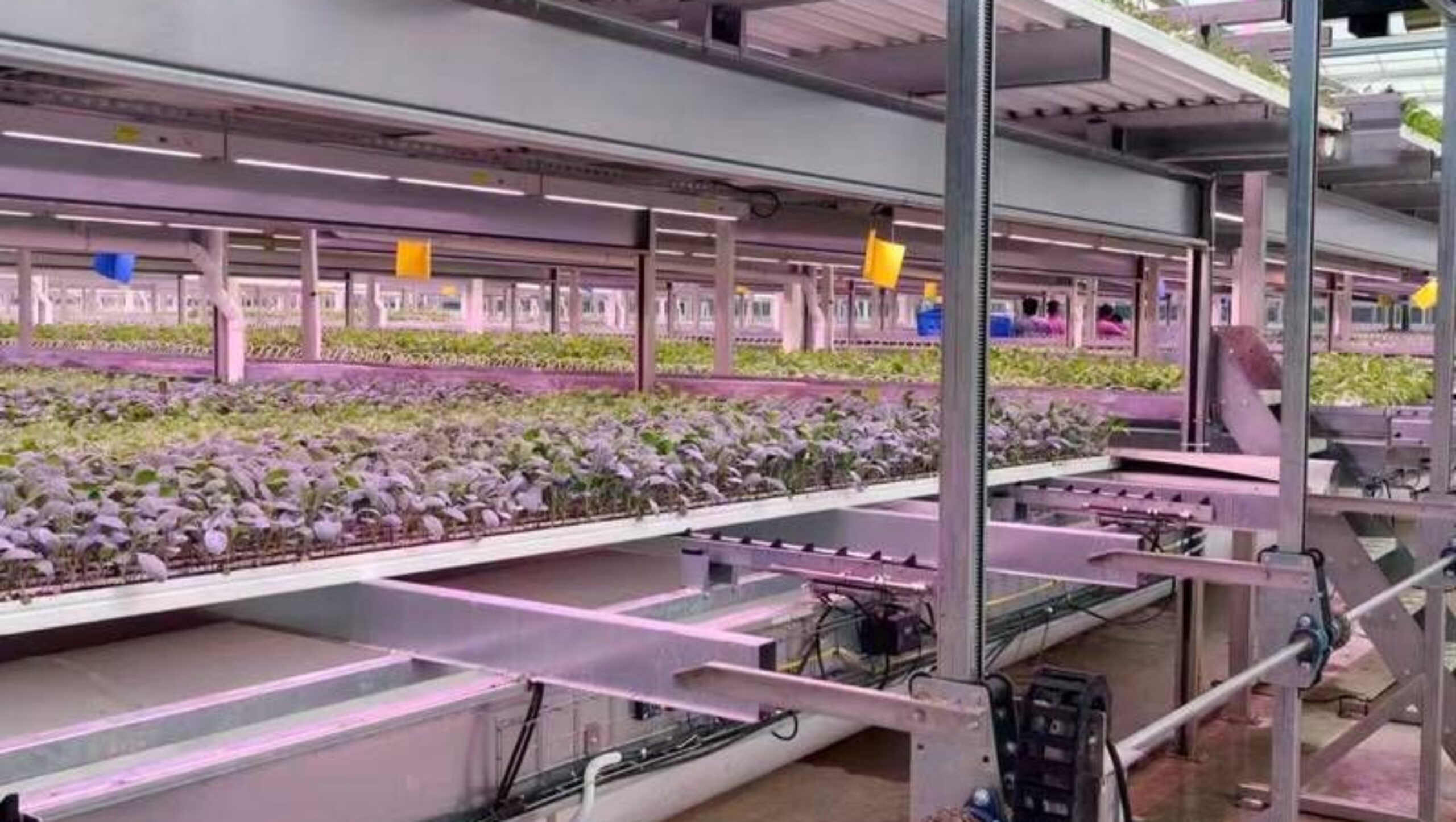 Semi-Closed Greenhouse Intelligent Cultivation System
